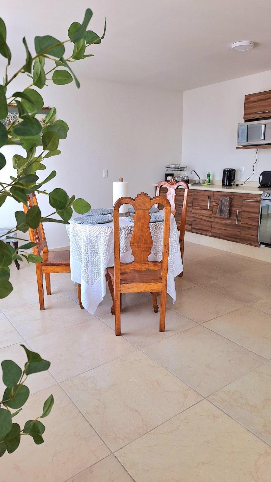 Departamento Tequis, Totalmente Nuevo En El Corazon De Slp Apartment San Luis Potosi Ngoại thất bức ảnh