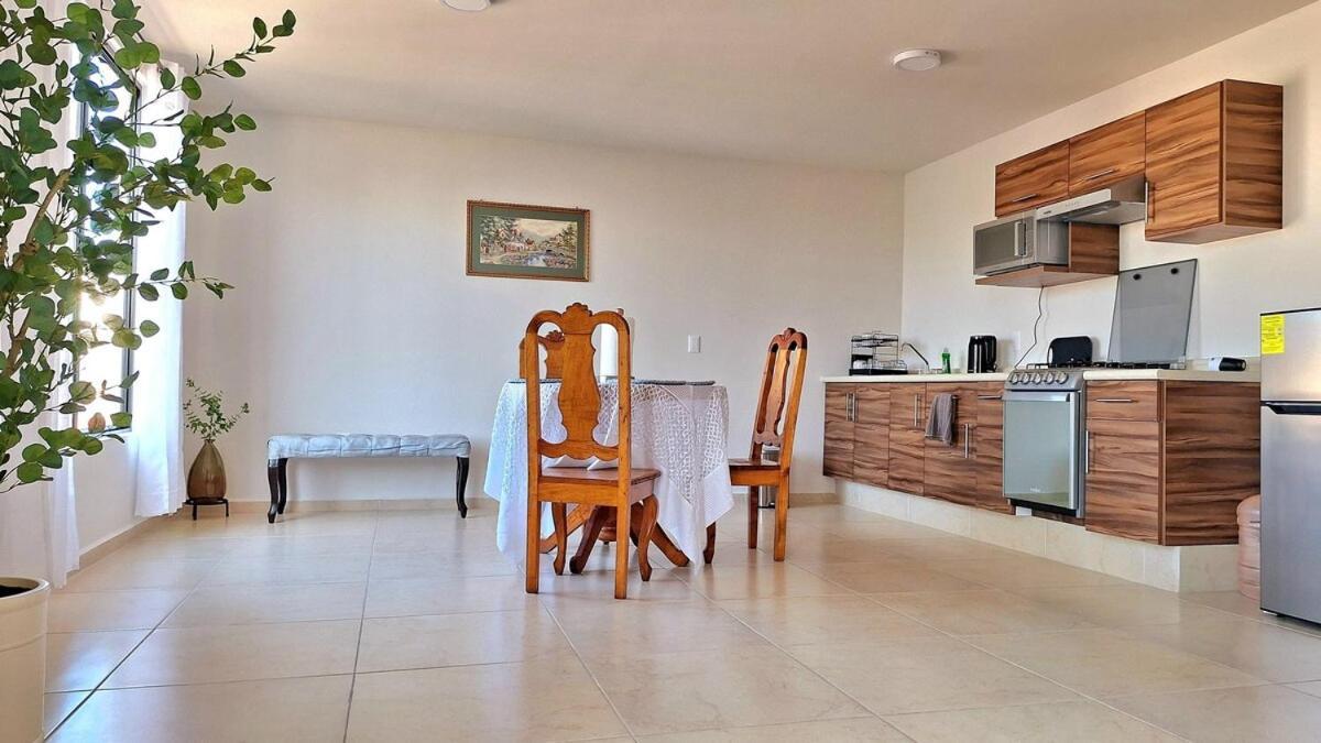 Departamento Tequis, Totalmente Nuevo En El Corazon De Slp Apartment San Luis Potosi Ngoại thất bức ảnh