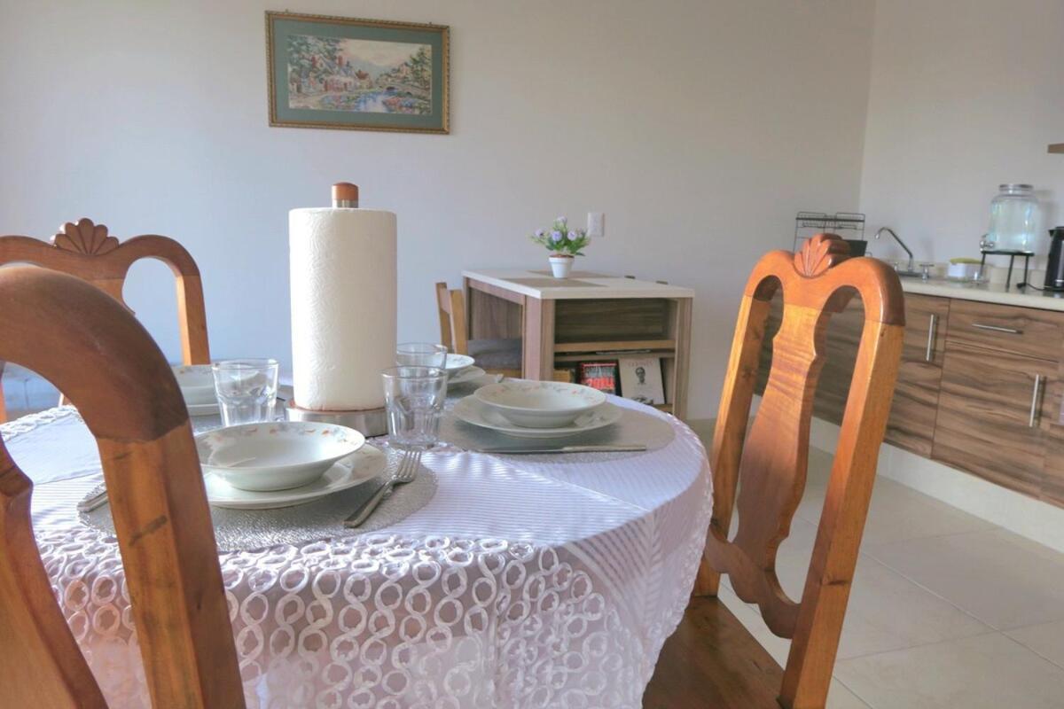 Departamento Tequis, Totalmente Nuevo En El Corazon De Slp Apartment San Luis Potosi Ngoại thất bức ảnh