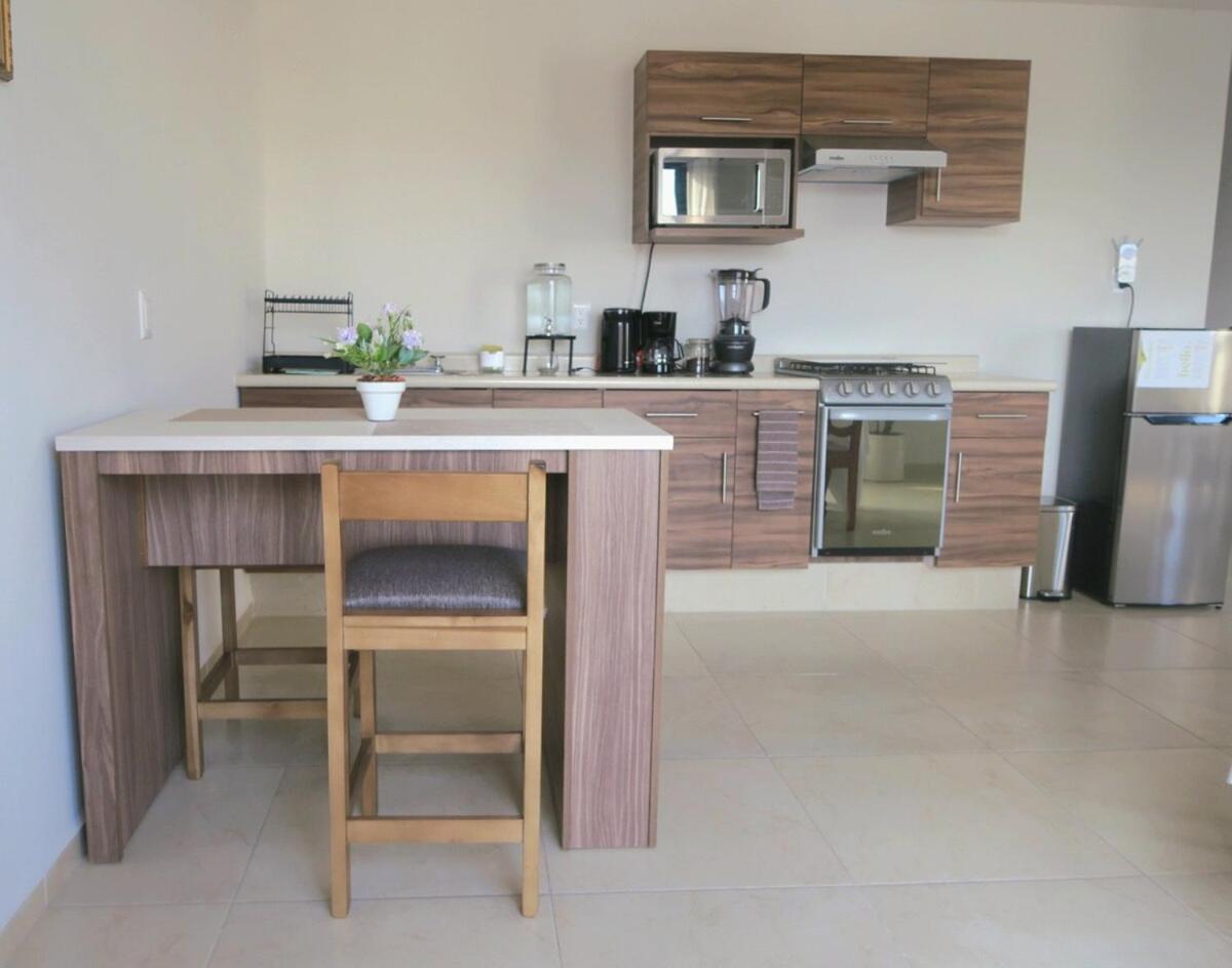 Departamento Tequis, Totalmente Nuevo En El Corazon De Slp Apartment San Luis Potosi Ngoại thất bức ảnh