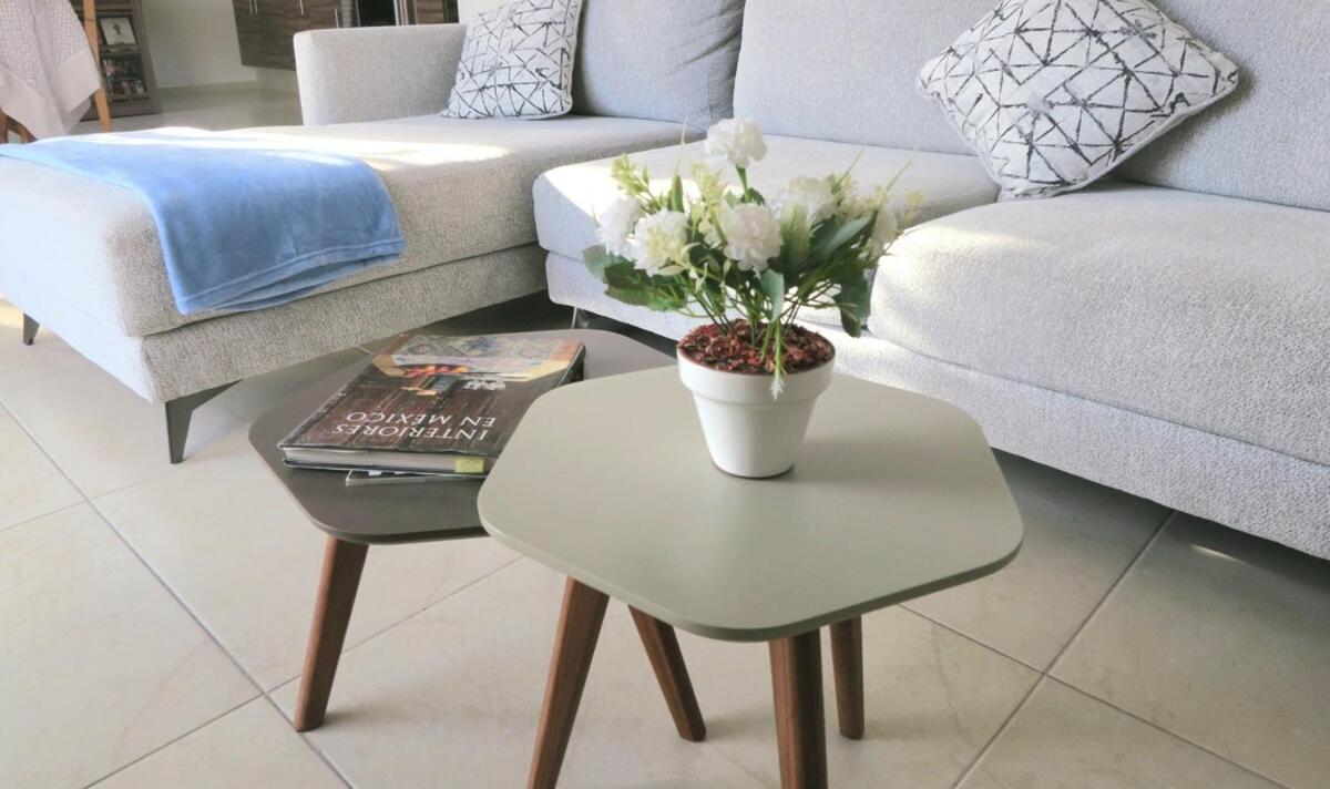 Departamento Tequis, Totalmente Nuevo En El Corazon De Slp Apartment San Luis Potosi Ngoại thất bức ảnh