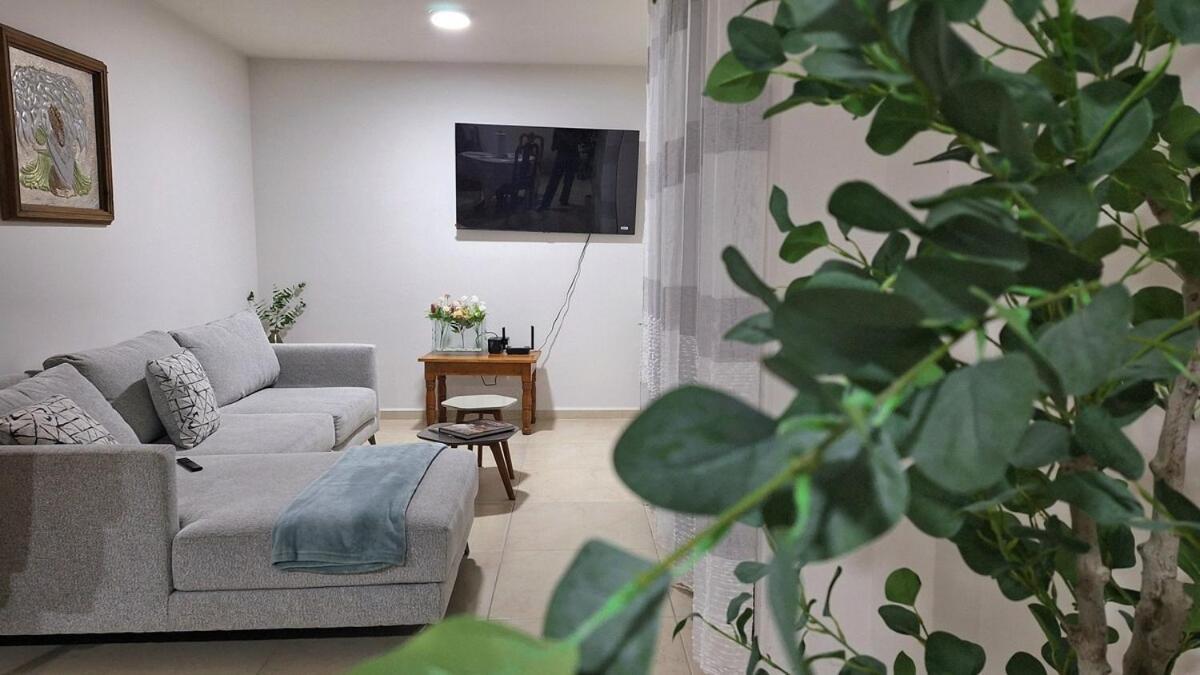 Departamento Tequis, Totalmente Nuevo En El Corazon De Slp Apartment San Luis Potosi Ngoại thất bức ảnh